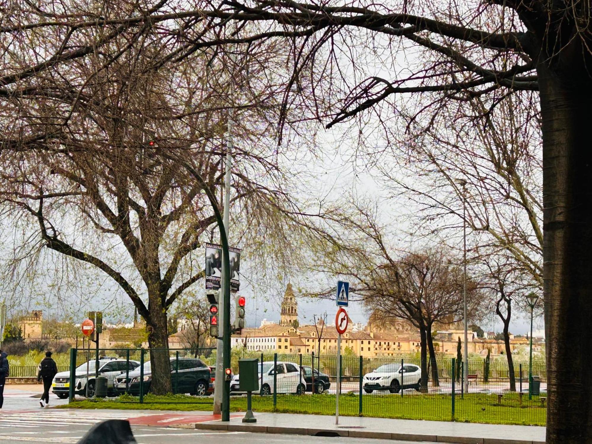 Plaza De Andalucia Home Con Parking コルドバ エクステリア 写真